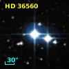 HD  36560