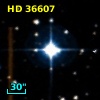 HD  36607