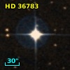 HD  36783
