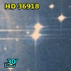 HD  36918