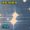 HD  36919