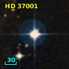 HD  37001