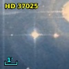 HD  37025