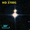 HD  37091