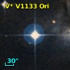 V* V1133 Ori