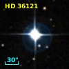HD  36121