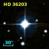 HD  36203