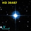 HD  36487