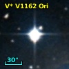 V* V1162 Ori