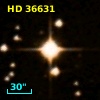 HD  36631