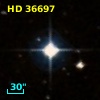HD  36697