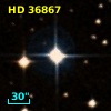 HD  36867