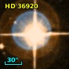 HD  36920