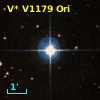 V* V1179 Ori