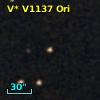 V* V1137 Ori