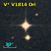 V* V1814 Ori