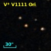 V* V1111 Ori
