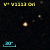 V* V1113 Ori