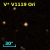 V* V1119 Ori