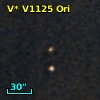 V* V1125 Ori