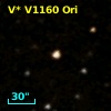 V* V1160 Ori