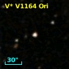 V* V1164 Ori