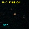 V* V1168 Ori