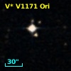 V* V1171 Ori