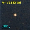 V* V1183 Ori