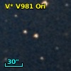 V* V981 Ori