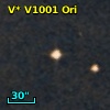 V* V1001 Ori