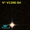 V* V1200 Ori
