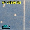 V* V1546 Ori