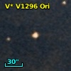 V* V1296 Ori
