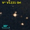 V* V1221 Ori