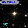 HD 236411