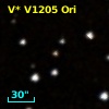 V* V1205 Ori
