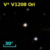 V* V1208 Ori