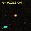 V* V1213 Ori