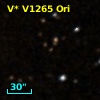 V* V1265 Ori