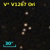 V* V1267 Ori