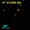 V* V1269 Ori
