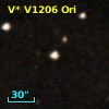 V* V1206 Ori