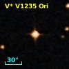 V* V1235 Ori