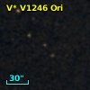V* V1246 Ori