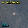 V* V1240 Ori