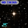HD 236368
