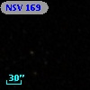 NSV   169