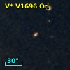 V* V1696 Ori