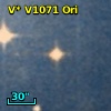 V* V1071 Ori